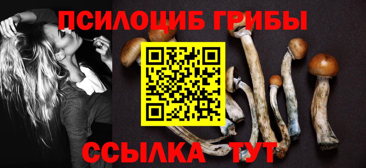 Галлюциногенные грибы Psilocybine cubensis Батайск